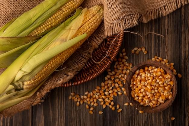 Corn Husk